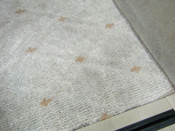 リンスクリーナー