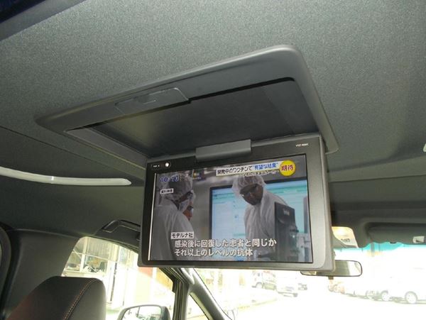 ラグジュアリーなミニバン