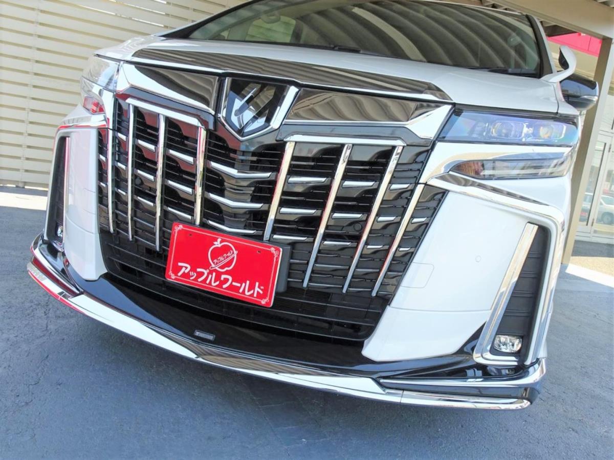 安城西尾インター店